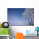 Hoar Frost Covered Poplar Trees On A Foggy Winter Morning Wall Mural
