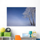 Hoar Frost Covered Poplar Trees On A Foggy Winter Morning Wall Mural
