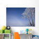 Hoar Frost Covered Poplar Trees On A Foggy Winter Morning Wall Mural