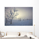 Hoar Frost Covering Trees And Barbed Wire Fence On Winter Morning Wall Mural
