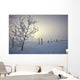 Hoar Frost Covering Trees And Barbed Wire Fence On Winter Morning Wall Mural