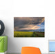 Summer Evening Storm Blowing Over Ripe Canola Fields, Central Alberta Wall Mural