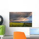 Summer Evening Storm Blowing Over Ripe Canola Fields, Central Alberta Wall Mural