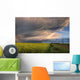 Summer Evening Storm Blowing Over Ripe Canola Fields, Central Alberta Wall Mural