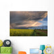 Summer Evening Storm Blowing Over Ripe Canola Fields, Central Alberta Wall Mural