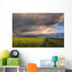 Summer Evening Storm Blowing Over Ripe Canola Fields, Central Alberta Wall Mural