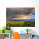 Summer Evening Storm Blowing Over Ripe Canola Fields, Central Alberta Wall Mural