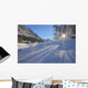 Sunlight Breaking Through Trees On Snow-Covered Medicine Lake Wall Mural