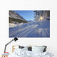 Sunlight Breaking Through Trees On Snow-Covered Medicine Lake Wall Mural