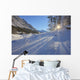 Sunlight Breaking Through Trees On Snow-Covered Medicine Lake Wall Mural