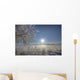 Frost Covered Trees On Winter Morning, Alberta Wall Mural