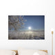 Frost Covered Trees On Winter Morning, Alberta Wall Mural