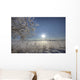 Frost Covered Trees On Winter Morning, Alberta Wall Mural