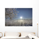 Frost Covered Trees On Winter Morning, Alberta Wall Mural