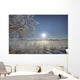 Frost Covered Trees On Winter Morning, Alberta Wall Mural