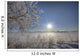 Frost Covered Trees On Winter Morning, Alberta Wall Mural