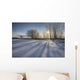 Sunlight Breaking Through Trees On Winter Afternoon, Alberta Wall Mural