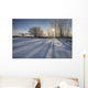 Sunlight Breaking Through Trees On Winter Afternoon, Alberta Wall Mural