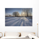 Sunlight Breaking Through Trees On Winter Afternoon, Alberta Wall Mural