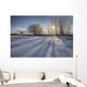 Sunlight Breaking Through Trees On Winter Afternoon, Alberta Wall Mural