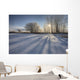 Sunlight Breaking Through Trees On Winter Afternoon, Alberta Wall Mural