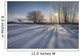 Sunlight Breaking Through Trees On Winter Afternoon, Alberta Wall Mural