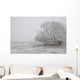 Foggy Winter Morning On Farm, Central Alberta Wall Mural