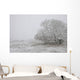 Foggy Winter Morning On Farm, Central Alberta Wall Mural