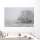Foggy Winter Morning On Farm, Central Alberta Wall Mural