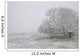 Foggy Winter Morning On Farm, Central Alberta Wall Mural