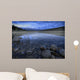 Early Summer Morning On Patricia Lake, Jasper National Park, Alberta Wall Mural
