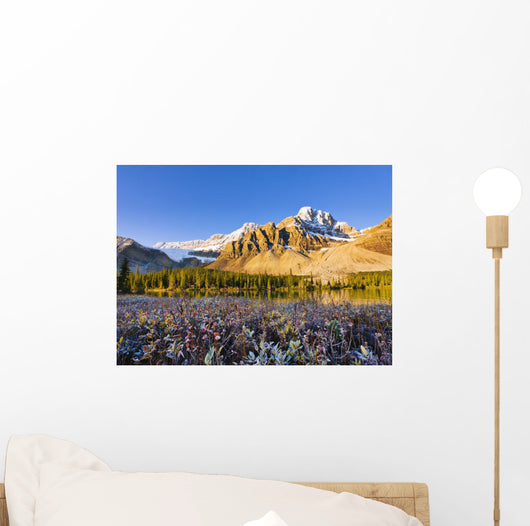 Artist's Choice Wall Mural