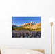 Artist's Choice Wall Mural