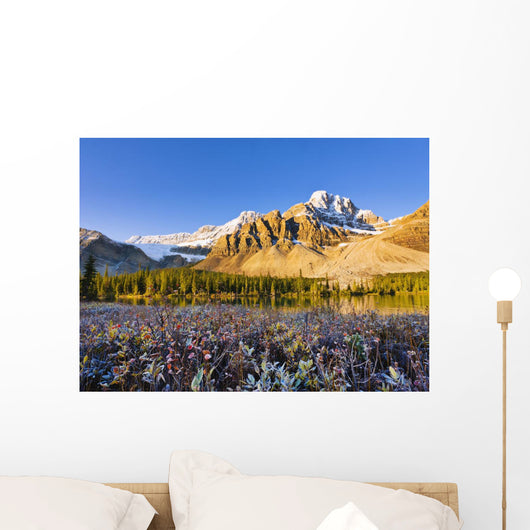 Artist's Choice Wall Mural