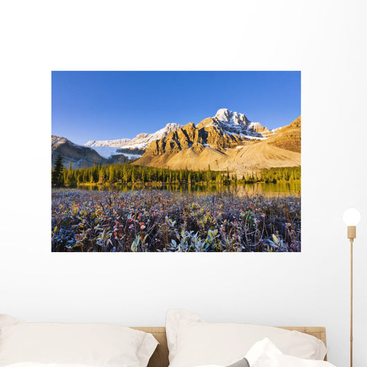 Artist's Choice Wall Mural