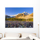 Artist's Choice Wall Mural
