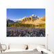 Artist's Choice Wall Mural