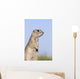 Richardson's Ground Squirrel, In Grass, Oak Hammock Marsh, Manitoba Wall Mural