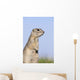 Richardson's Ground Squirrel, In Grass, Oak Hammock Marsh, Manitoba Wall Mural