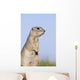 Richardson's Ground Squirrel, In Grass, Oak Hammock Marsh, Manitoba Wall Mural