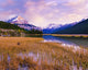 Tangle Ridge And Mount Kitchener At Sunset Reflected In Pond Wall Mural