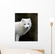 Artic fox Wall Mural