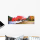 Panorama Of Red Maple Tree, Muskoka, Ontario Wall Mural