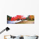 Panorama Of Red Maple Tree, Muskoka, Ontario Wall Mural
