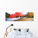 Panorama Of Red Maple Tree, Muskoka, Ontario Wall Mural