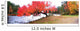 Panorama Of Red Maple Tree, Muskoka, Ontario Wall Mural