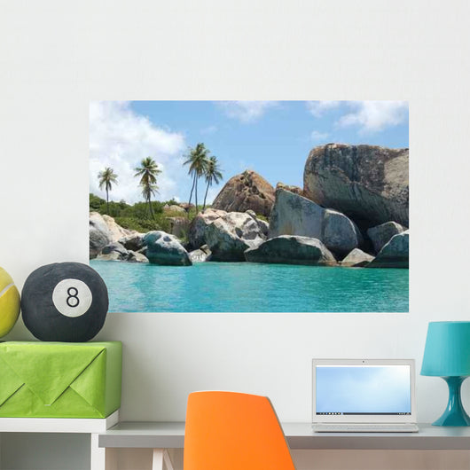 Granite Boulders and Palm Wall Decal