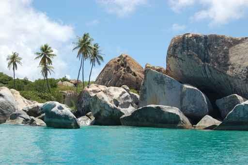 Granite Boulders and Palm Wall Decal