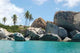 Granite Boulders and Palm Wall Decal