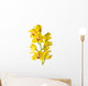 Yellow Orchid Isolated Wall Decal